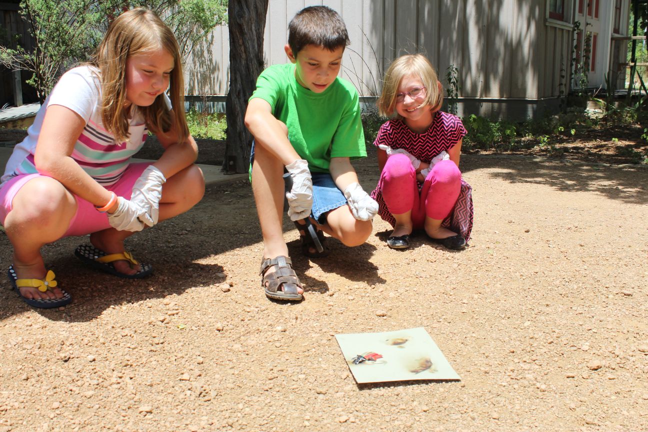 This week’s children’s activities